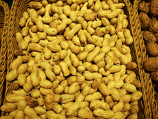 포토 JPG 해외이미지 음식 백그라운드 농업 다이어트 재료 자연 건조 건강 씨앗 사람없음 견과류 수확 껍질 신선 그룹 맛 오브젝트 상쾌 유기농 날것 땅콩 흙더미 내추럴 단백질 채식주의자 해외202004 해외포토 식물 웰빙 감정 산업 컨셉 흙 생태계 채식 영양소 파일형식 더미 이미지허브