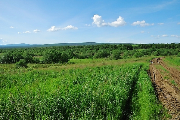 포토 JPG 해외이미지 도로 밭 자연 풍경 사람없음 야외 목재 초록색 여름 바퀴자국 언덕 먼지 진흙 해외202004 해외포토 나무 계절 길 컬러 농업 재료 교통시설 자국 생태계 파일형식 이미지허브