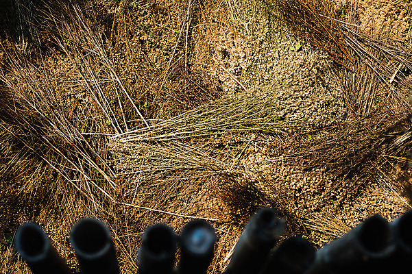 포토 JPG 해외이미지 식물 꽃잎 꽃 길 꽃다발 백그라운드 잎 꽃무늬 자연 건조 발렌타인데이 선물 사랑 사람없음 내부 장식 초록색 컬러풀 쌓기 정원 봄 수확 벚꽃 신선 우아함 혼합 배열 묘사 질감 복고 내추럴 고립 커터 해외202004 해외포토 계절 감정 컬러 컨셉 무늬 농업 모션 데이이벤트 생태계 파일형식 이미지허브