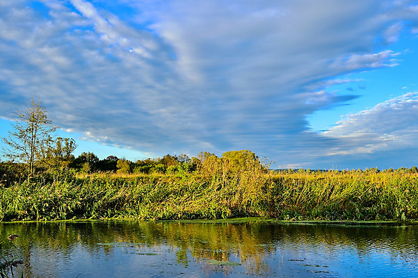 포토 JPG 해외이미지 나무 식물 구름 호수 야생동물 백그라운드 잎 오렌지 자연 하늘 풍경 사람없음 야외 초록색 물 여름 파란색 강 컬러풀 태양 반사 노란색 평화 환경 맑음 침묵 일몰 봄 활발 젖음 가을 시골 연못 소나무 황무지 숲 러시아 장면 자작나무 해외202004 해외포토 자연요소 동물 계절 유럽 컬러 컨셉 과일 날씨 노을 소리 생태계 파일형식 이미지허브