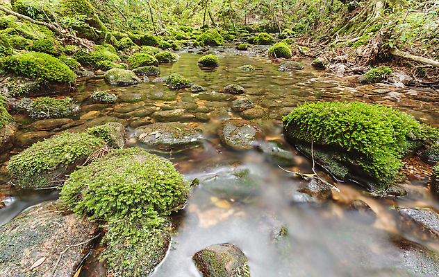 포토 JPG 해외이미지 식물 백그라운드 잎 모션 자연 벽지 산 이끼 풍경 사람없음 야외 목재 초록색 물 빛 강 평화 환경 골짜기 봄 폭포 흐름 가을 바위 신선 개울 떨어짐 숲 내추럴 해외202004 해외포토 자연요소 나무 계절 컬러 컨셉 재료 돌_바위 생태계 파일형식 이미지허브