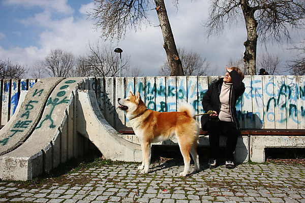 포토 JPG 해외이미지 동물 자연 한명 반려동물 일본 힘 용기 자신감 개 그래피티 큼 근육질 고체 지능 힘찬 해외202004 해외포토 1 그릇 감정 아시아 컨셉 포유류 근육 사람 낙서 크기 몸매 그림 생태계 파일형식 이미지허브