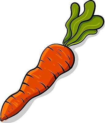 EPS 해외이미지 식물 음식 농업 다이어트 오렌지 일러스트 재료 자연 건강 정원 당근 신선 그림 유기농 내추럴 채식주의자 해외202004 해외일러스트 웰빙 산업 과일 뿌리채소 생태계 채식 파일형식 벡터 이미지허브