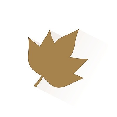 EPS 해외이미지 나무 계절 단풍 잎 일러스트 자연 날씨 건조 풍경 야외 장식 빨간색 갈색 환경 성장 가을 신선 플랫 숲 10월 해외202004 해외일러스트 식물 컬러 날짜 생태계 파일형식 벡터 이미지허브