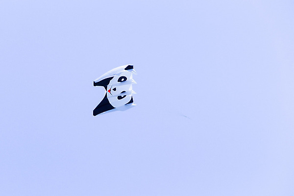 포토 JPG 해외이미지 구름 전통 공원 행복 종교 스포츠 놀이 하늘 바람 휴가 동양인 사람없음 야외 여름 파란색 컬러풀 햇빛 맑음 축제 놀람 기쁨 자유 게임 축하 신용카드 연 1월 힌두교 카피스페이스 해외202004 해외포토 자연요소 계절 공공시설 감정 컬러 컨셉 날씨 표정 인종 금융 태양 놀이용품 공백 날짜 파일형식 이미지허브