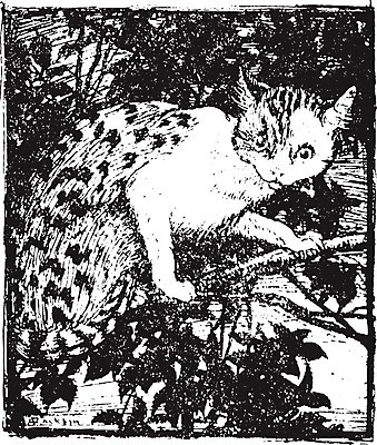 EPS 해외이미지 나무 한마리 일러스트 나뭇잎 사람없음 검은색 고양이 나뭇가지 그림 질감 판화 해외202004 해외일러스트 식물 1 컬러 잎 포유류 미술 반려동물 파일형식 벡터 이미지허브