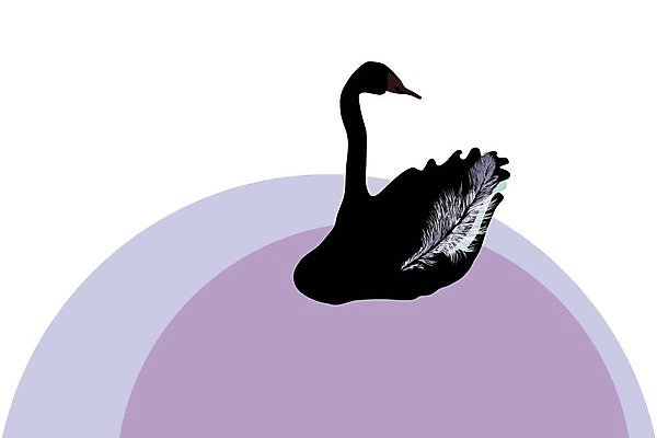 EPS 해외이미지 모양 동물 디자인 실루엣 호수 분홍색 백그라운드 컨셉 패턴 날개 일러스트 자연 조류 사랑 미술 그래픽 가로 유행 보라색 검은색 우아함 심볼 깃털 사인 그림 부리 백조 목 천진난만 해외202004 해외일러스트 감정 컬러 무늬 문화예술 촬영기법 신체부위 생태계 파일형식 벡터 이미지허브