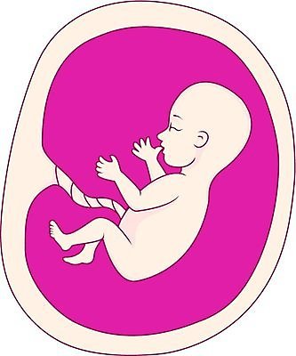 EPS 해외이미지 디자인 어린이 신체 일러스트 벽지 추상 건강 창조 미술 사람 그래픽 빨간색 희망 침묵 임신 육아 아기 출산 작음 심볼 태교 태아 자궁 월 처음 생존 해외202004 해외일러스트 감정 컬러 무늬 문화예술 소리 날짜 장기 크기 파일형식 벡터 이미지허브