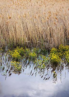 포토 JPG 해외이미지 호수 백그라운드 건조 사람없음 초록색 물 강 질감 내추럴 해외202004 해외포토 자연요소 컬러 파일형식 이미지허브