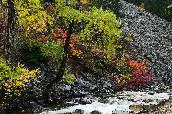포토 JPG 해외이미지 자연 풍경 사람없음 물 강 하이킹 가을 개울 숲 워싱턴 해외202004 해외포토 자연요소 계절 레저 미국 생태계 파일형식 이미지허브