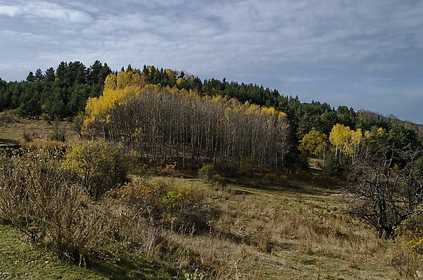 포토 JPG 해외이미지 나무 식물 여행 낙엽 잎 자연 휴식 산 건조 건강 파노라마 사람없음 야외 초록색 컬러풀 노란색 여행객 놀람 산책 하이킹 가을 나뭇가지 저수지 숲 댐 언덕 시골집 침엽수 불가리아 사방 해외202004 해외포토 계절 공공시설 감정 컬러 컨셉 레저 주택 촬영기법 표정 사람 생태계 파일형식 남유럽 이미지허브
