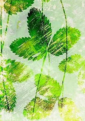 포토 JPG 해외이미지 나무 식물 계절 공원 백그라운드 단풍 잎 오렌지 자연 건조 사람없음 목재 장식 빨간색 초록색 세트 컬러풀 갈색 노란색 가을 흰색 황금 떨어짐 숲 큼 9월 수집 흰배경 유기농 질감 10월 내추럴 강렬 고립 진짜 생존 해외202004 해외포토 웰빙 공공시설 컬러 컨셉 과일 재료 날짜 크기 생태계 파일형식 이미지허브