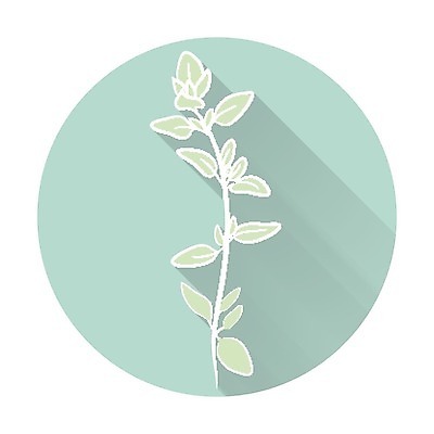 EPS 해외이미지 클립아트 식물 디자인 음식 잎 일러스트 비즈니스 재료 자연 건강 그림자 요리 미술 그래픽 주방 정원 웹 봄 신선 양념 플랫 어플리케이션 수프 땅 허브 심볼 향신료 유기농 클립 향 토기 상록수 내추럴 고립 백리향 채식주의자 비건 해외202004 해외일러스트 웰빙 계절 인터넷 문화예술 용기_그릇 생태계 채식 향미료 파일형식 벡터 이미지허브