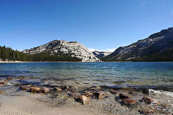 포토 JPG 해외이미지 나무 구름 공원 호수 하늘 산 사람없음 야외 물 반사 침묵 황무지 캘리포니아 요세미티국립공원 전국 해외202004 해외포토 자연요소 식물 공공시설 국립공원 미국 소리 파일형식 이미지허브