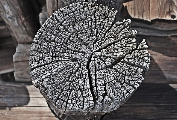 포토 JPG 해외이미지 전통 디자인 외관 벽 백그라운드 날씨 추상 주택 사람없음 목재 농장 갈색 마을 어둠 시골 원형 거친 균열 자르기 질감 통나무 헛간 다리찢기 내추럴 외양간 방사형 수목 썩음 옛날 노화 해외202004 해외포토 도형 나무 컬러 컨셉 무늬 농업 재료 모션 건물 저장고 파일형식 이미지허브