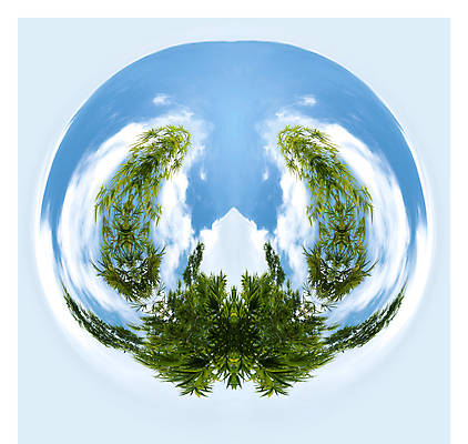 포토 JPG 해외이미지 식물 구름 계절 백그라운드 잎 패턴 자연 하늘 바람 날씨 추상 미술 풍경 사람없음 야외 장식 초록색 여름 파란색 빛 글로벌 지구본 우주 환경 맑음 침묵 봄 흰색 나뭇가지 원형 분위기 대나무 솜털 흐림 내추럴 여의주 해외202004 해외포토 자연요소 도형 나무 컬러 컨셉 무늬 문화예술 소리 생태계 파일형식 이미지허브