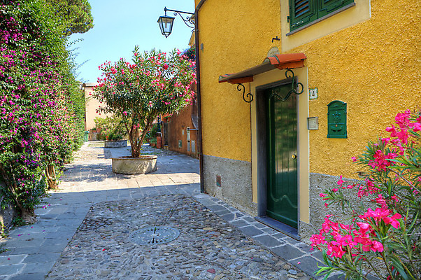 포토 JPG 해외이미지 꽃 유럽 여행 가로등 건축양식 휴가 거리 주택 사람없음 건물 목재 초록색 도시풍경 노란색 여행객 문 이탈리아 도시 작음 땅 좁은 타운 안뜰 인기 해외202004 해외포토 나무 식물 건축물 공공시설 건축 나라 컬러 재료 사람 풍경 크기 파일형식 이미지허브