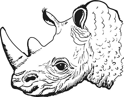 EPS 해외이미지 동물 1 야생동물 백그라운드 일러스트 포유류 자연 생물 뿔 동물원 종류 머리 회색 흰색 황무지 보호 숲 큼 만화 스케치 피부 에코 생태계 사냥 손그림 코뿔소 거인 해외202004 해외일러스트 컬러 컨셉 미술 신체부위 환경 크기 파일형식 벡터 이미지허브