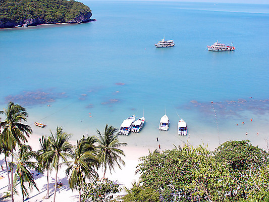 포토 JPG 해외이미지 나무 아시아 모래 바다 섬 여행 태국 자연 휴가 사람없음 초록색 물 뜨거움 보트 코코넛 탐사 이국적 파라다이스 해외202004 해외포토 자연요소 식물 나라 컬러 배_교통 과일 생태계 파일형식 이미지허브