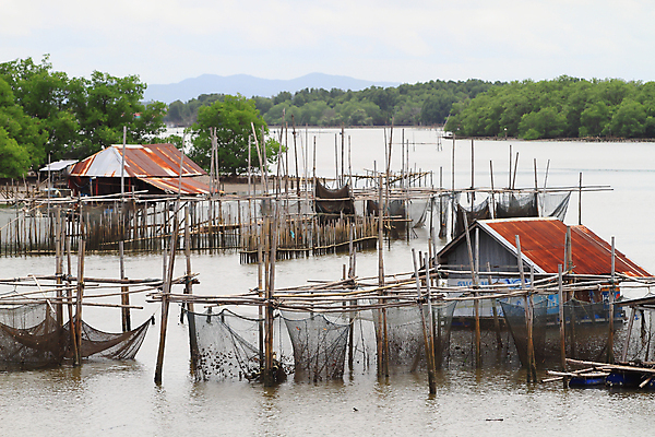 포토 JPG 해외이미지 아시아 바다 여행 태국 조개 산 항해 동양인 풍경 사람없음 야외 굴 낚시꾼 어장 동쪽 해외202004 해외포토 나라 배_교통 어패류 인종 방향 파일형식 이미지허브