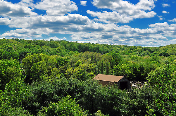 포토 JPG 해외이미지 나무 식물 구름 꽃 밭 자연 하늘 산 주택 풍경 사람없음 초록색 여름 파란색 햇빛 농장 농경지 노란색 환경 맑음 미국 침묵 봄 벚꽃 시골 개화 숲 삼림지대 시베리아 해외202004 해외포토 자연요소 계절 컬러 북아메리카 농업 날씨 건물 태양 소리 생태계 파일형식 이미지허브