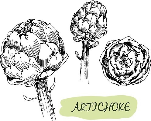 EPS 해외이미지 디자인 음료 백그라운드 컨셉 농업 다이어트 일러스트 국화 요리 미술 그래픽 장식 농작물 검은색 수확 골동품 나뭇가지 우아함 낙서 만화 수집 먹기 그림 에코 클립 손그림 구성 바이오 식용 아티초크 해외202004 해외일러스트 나무 꽃 산업 컬러 모션 문화예술 건강 환경 파일형식 벡터 이미지허브