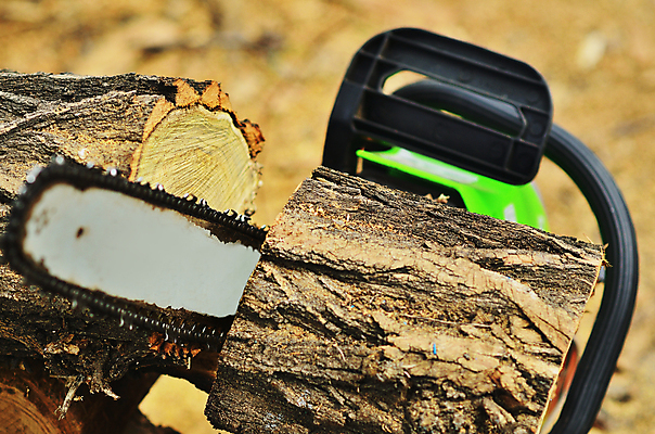 포토 JPG 해외이미지 나무 직업 손 산업 포즈 자연 노동자 수염 사람 성인 사람없음 야외 목재 빛 갈색 힘 기계 일몰 장비 공구 소나무 업무 칼날 숲 헬멧 장작 자르기 통나무 먼지 도끼 잡동사니 벌목 솜씨 수목 재주꾼 전기톱 톱밥 해외202004 해외포토 식물 컬러 재료 모션 신체부위 노을 도구 작업 보호장비 가루 생태계 톱 파일형식 이미지허브