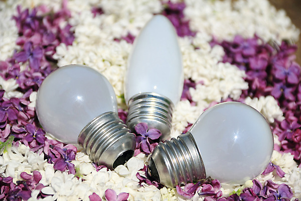 포토 JPG 해외이미지 컨셉 전구 아이디어 사람없음 초록색 빛 환경 재활용 에너지 흰색 절약 보호 에코 자원 해결 발명 생태학 해외202004 해외포토 교육 컬러 친환경 파일형식 이미지허브