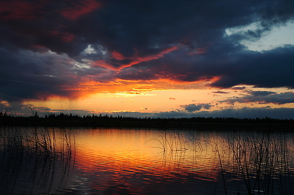 포토 JPG 해외이미지 구름 실루엣 호수 파도 여행 오렌지 자연 하늘 휴가 휴식 풍경 사람없음 빨간색 물 여름 파란색 빛 강 컬러풀 햇빛 태양 반사 노란색 여행객 평화 일출 일몰 꿈 분위기 저녁 상승 북쪽 수평선 해외202004 해외포토 자연요소 계절 바다 컬러 컨셉 과일 촬영기법 사람 노을 야간 방향 생태계 파일형식 이미지허브