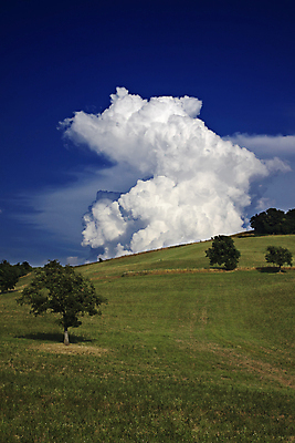 포토 JPG 해외이미지 나무 식물 구름 계절 유럽 여행 밭 농업 자연 하늘 휴가 휴식 거리 풍경 사람없음 야외 초록색 파란색 이탈리아 가을 시골 언덕 포도밭 장면 내추럴 토스카나 목가 해외202004 해외포토 자연요소 나라 산업 컬러 컨셉 생태계 파일형식 이미지허브