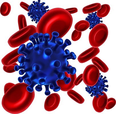 EPS 해외이미지 일러스트 세포 건강 사람없음 빨간색 파란색 3D 혈액 바이러스 질병 생물학 감염 전염 미생물 적혈구 박테리아 인플루엔자 코로나바이러스 해외202004 해외일러스트 교육 컬러 의학 생물 디지털합성 혈구 파일형식 벡터 이미지허브