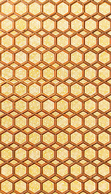 포토 JPG 해외이미지 벽 백그라운드 잎 꽃무늬 패턴 곡선 사람없음 장식 수확 골동품 직물 중세 심볼 타일 질감 복고 베네치아 고딕 르네상스 바로크 빅토리아 옛날 회복 해외202004 해외포토 식물 꽃 선 컨셉 무늬 농업 이탈리아 역사 파일형식 이미지허브