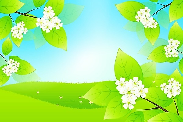 EPS 해외이미지 나무 꽃 백그라운드 잎 밭 일러스트 풍경 초록색 여름 환경 봄 땅 언덕 장면 내추럴 캐모마일 수평선 해외202004 해외일러스트 식물 계절 컬러 농업 허브 파일형식 벡터 이미지허브