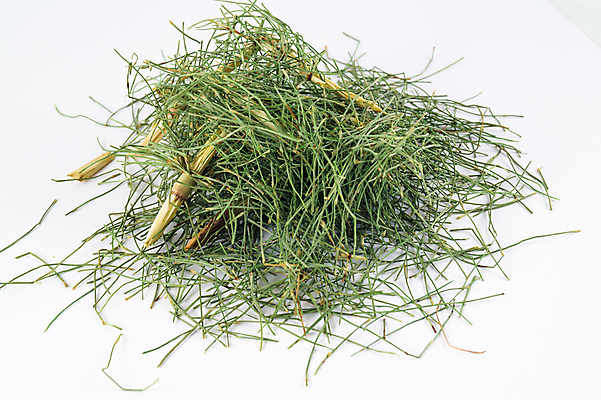 포토 JPG 해외이미지 식물 꽃잎 꽃 분홍색 백그라운드 꽃무늬 오렌지 자연 건조 건강 사람없음 야외 초록색 건강관리 정원 보라색 센터 닫기 정상 허브 묘사 유기농 원예 꽃가루 동쪽 고슴도치 보충 면역력 영원 치유 해외202004 해외포토 웰빙 컬러 무늬 과일 포유류 모션 관리 취미 가루 방향 생태계 파일형식 이미지허브