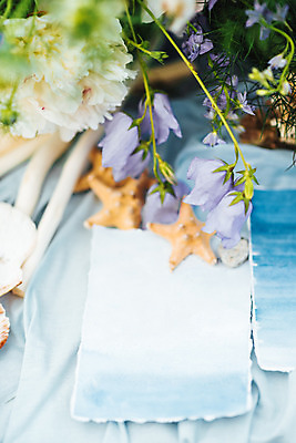 포토 JPG 해외이미지 꽃 결혼 백그라운드 꽃무늬 자연 탁자 휴가 사랑 이벤트 사람없음 야외 목재 장식 초록색 파티 정원 수확 흰색 축하 고급 구성 접수 스타일 해외202004 해외포토 나무 식물 감정 컬러 가구 컨셉 무늬 농업 재료 생태계 파일형식 이미지허브