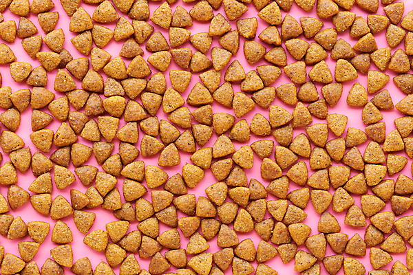 포토 JPG 해외이미지 동물 접시 분홍색 백그라운드 건조 건강 사람없음 컵 반려동물 컬러풀 갈색 고양이 사발 개 맛 강아지 상품 정상 작음 먹이 플라스틱 기아 배고픔 오브젝트 흙더미 송곳니 고립 돌봄 많음 해외202004 해외포토 식기 컬러 컨셉 포유류 모션 재질 흙 사기그릇 치아 크기 사회이슈 파일형식 더미 이미지허브