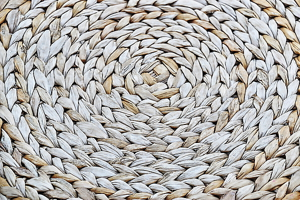 포토 JPG 해외이미지 가구 백그라운드 자연 사람없음 등나무 해외202004 해외포토 나무 생활용품 생태계 파일형식 이미지허브