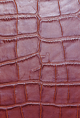 포토 JPG 해외이미지 동물 디자인 옷 산업 백그라운드 패턴 의자 자연 표면 날씨 추상 미술 사람없음 빨간색 우주 어둠 줄무늬 수확 골동품 조약돌 직물 얼룩 거친 주름 가죽 유연 피부 질감 복고 날것 부드러움 결 한조각 내추럴 소가죽 숨기 엘리먼트 옛날 울퉁불퉁 카피스페이스 효과 해외202004 해외포토 1 컬러 가구 무늬 농업 모션 문화예술 신체부위 공백 돌_바위 감각 생태계 파일형식 이미지허브