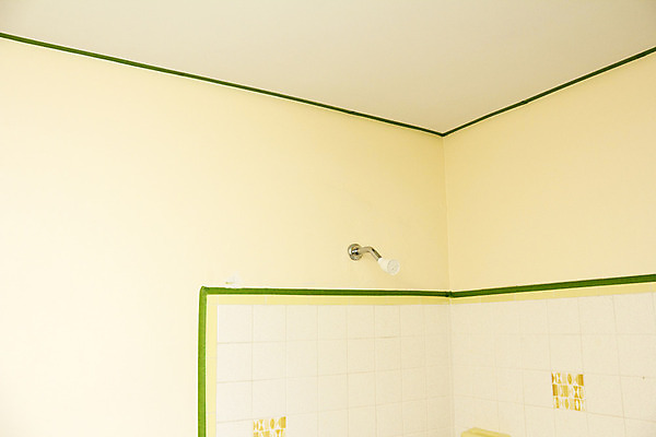 포토 JPG 해외이미지 벽 주택 가면 사람없음 장식 초록색 페인트 욕실 공구 가장자리 수리 타일 준비 천장 그림 테이프 화가 손질 샤워실 해외202004 해외포토 직업 컬러 문구용품 건물 도구 둘레 샤워시설 파일형식 이미지허브