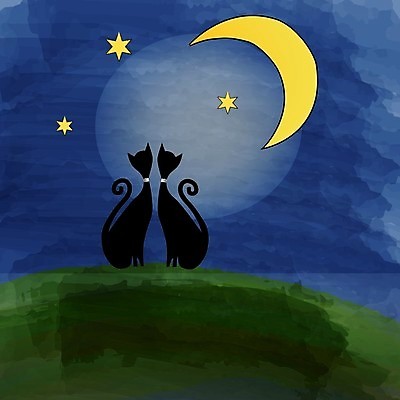 EPS 해외이미지 동물 2 밭 일러스트 발렌타인데이 사랑 친구 반려동물 검은색 고양이 어둠 꿈 달 우아함 낙서 야간 만화 아래 손그림 해외202004 해외일러스트 자연요소 감정 컬러 컨셉 농업 포유류 관계 데이이벤트 방향 위치 파일형식 벡터 이미지허브