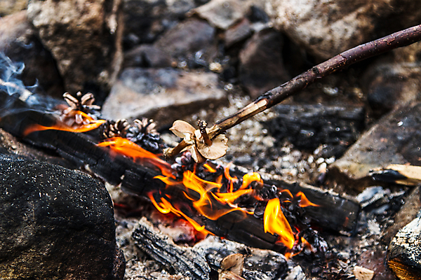 포토 JPG 해외이미지 주간 사람없음 야외 뜨거움 위험 장작 모닥불 바비큐 석탄 재 해외202004 해외포토 자연요소 음식 컨셉 불 파일형식 이미지허브
