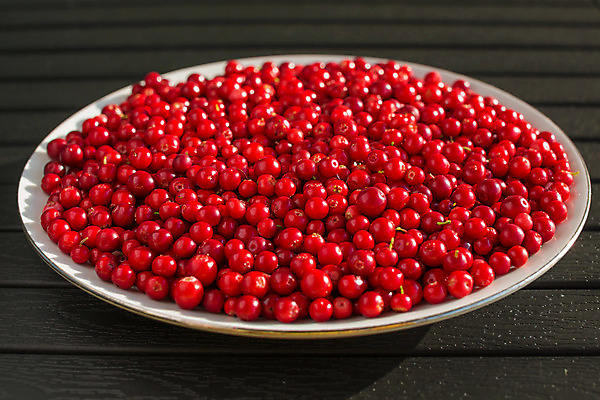 포토 JPG 해외이미지 접시 열매 음식 조각 백그라운드 다이어트 과일 부분 자연 탁자 딸기 디저트 건강 사람없음 목재 장식 빨간색 빛 쿠키 케이크 빵집 흰색 신선 체리 달콤 맛 아침식사 설탕 먹기 질감 날것 흙더미 내추럴 점심식사 숙성 식용 채식주의자 해외202004 해외포토 나무 식물 식기 컬러 가구 컨셉 재료 모션 상점 식사 흙 생태계 채식 파일형식 더미 이미지허브