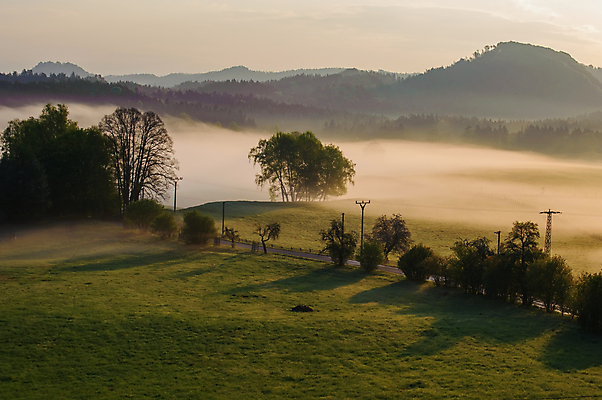 포토 JPG 해외이미지 나무 계절 공원 백그라운드 밭 오렌지 자연 하늘 아침 산 풍경 사람없음 초록색 여름 빛 햇빛 태양 노란색 일출 환경 일몰 봄 새벽 안개 가을 숲 내추럴 뿌연 해외202004 해외포토 주간 자연요소 식물 공공시설 컬러 농업 과일 날씨 노을 생태계 파일형식 이미지허브