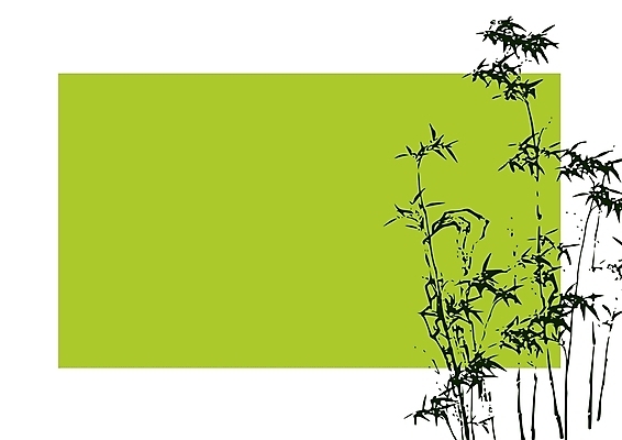 포토 JPG 해외이미지 나무 식물 실루엣 선 백그라운드 잎 꽃무늬 일러스트 자연 추상 동양인 사람없음 목재 장식 초록색 일본 중국 성장 나뭇가지 보호 대나무 유기농 심플 이국적 총쏘기 해외202004 해외포토 웰빙 꽃 아시아 컬러 컨셉 무늬 재료 모션 촬영기법 인종 생태계 파일형식 이미지허브