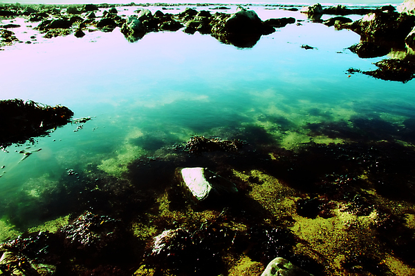 포토 JPG 해외이미지 별 파도 바다 과학 여행 신체 자연 하늘 항해 풍경 사람없음 빨간색 물 빛 태양 반사 우주 검은색 어둠 행성 할로윈 인공위성 외계인 뜨거움 원형 달빛 가득함 코스모스 암초 분화구 천문학 천국 해외202004 해외포토 자연요소 도형 교육 꽃 컬러 배_교통 통신 미확인물체 달 생태계 화산 파일형식 이미지허브