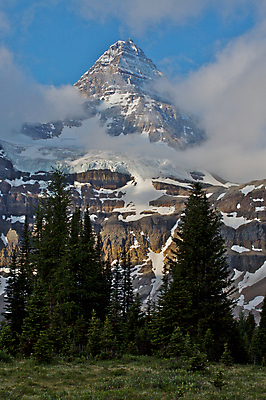 포토 JPG 해외이미지 나무 구름 캐나다 자연 산 풍경 사람없음 얼음 정상 숲 빙하 웅장함 절정 로키산맥 해외202004 해외포토 자연요소 식물 북아메리카 생태계 파일형식 이미지허브