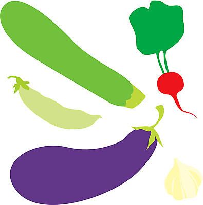 EPS 해외이미지 음식 다이어트 채소 과일 일러스트 가지 콩 건강 마늘 에코 고립 바이오 주키니 주키니호박 총각무 해외202004 해외일러스트 곡류 환경 무 파일형식 벡터 이미지허브