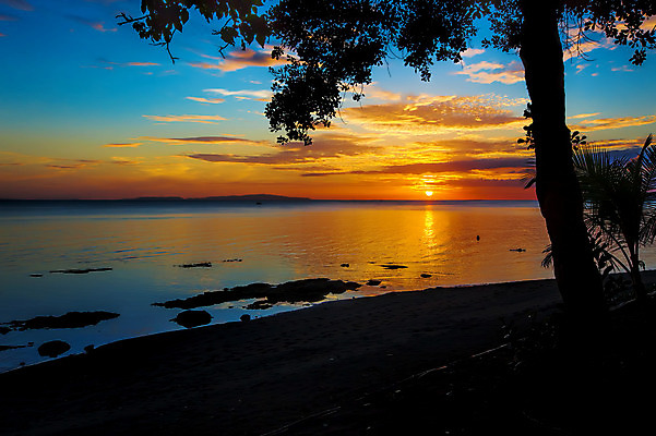 포토 JPG 해외이미지 나무 아시아 모래 바다 여행 자연 하늘 아침 휴가 따뜻함 손바닥 동양인 풍경 사람없음 야외 초록색 물 여름 평화 일출 침묵 황혼 일몰 새벽 시골 저녁 장면 내추럴 해외202004 해외포토 주간 자연요소 식물 손 계절 나라 컬러 컨셉 인종 노을 소리 야간 생태계 파일형식 이미지허브