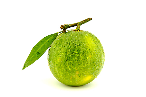 포토 JPG 해외이미지 식물 음식 백그라운드 잎 농업 다이어트 오렌지 과일 재료 자연 귤 건강 사람없음 초록색 주스 수확 흰색 신선 원형 닫기 달콤 맛 먹기 싱글 유기농 날것 내추럴 고립 채식주의자 해외202004 해외포토 도형 웰빙 산업 음료 컬러 컨셉 모션 생태계 채식 파일형식 이미지허브