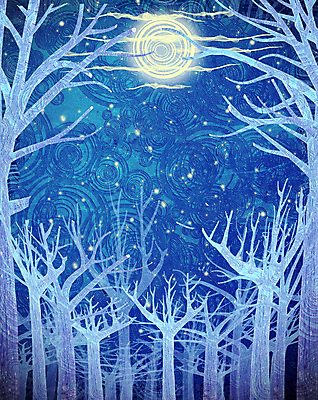 포토 JPG 해외이미지 나무 디자인 백그라운드 자연 풍경 사람없음 장식 파란색 달 원형 야간 숲 달빛 가득함 해외202004 해외포토 자연요소 도형 식물 컬러 생태계 파일형식 이미지허브